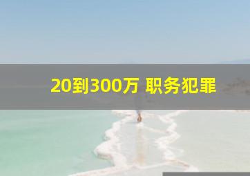 20到300万 职务犯罪